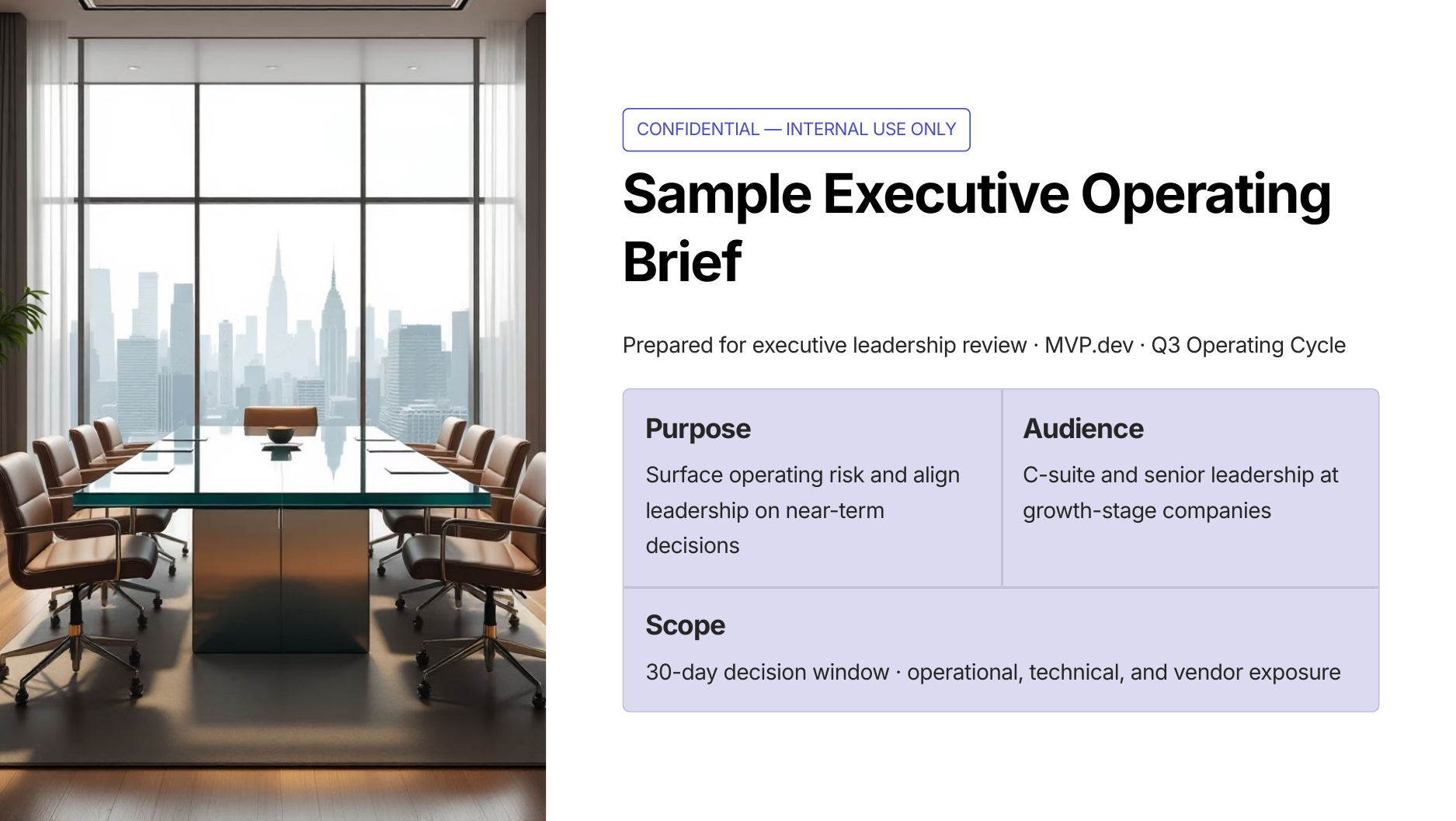 Preview of sample executive operating brief PDF